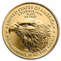 1/10 Oz American Eagle zlatá investiční mince 1/10 Oz American Eagle zlatá investiční mince