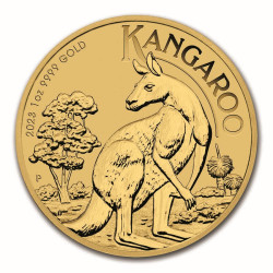1 Oz Kangaroo Klokan zlatá investiční mince 1 Oz Kangaroo Klokan zlatá investiční mince