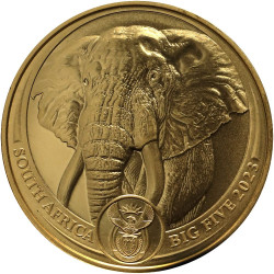1 Oz Zlatá investiční mince Big Five Slon africký 1 Oz Zlatá investiční mince Big Five Slon africký