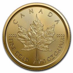 1/10 Oz Maple Leaf zlatá investiční mince 1/10 Oz Maple Leaf zlatá investiční mince