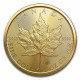 1 Oz Maple Leaf zlatá investiční mince