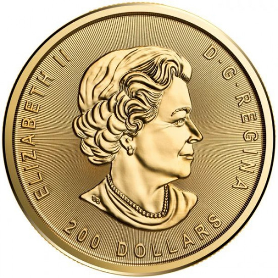 1 Oz Zlatá horečka na Klondiku - Hledání zlata 2022 zlatá investiční mince