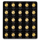 MAPLEGRAM 25 Maple Leaf 25x1g zlatá investiční mince