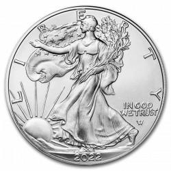 1 Oz American Eagle stříbrná investiční mince 1 Oz American Eagle stříbrná investiční mince