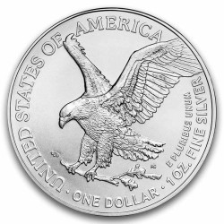 1 Oz American Eagle stříbrná investiční mince